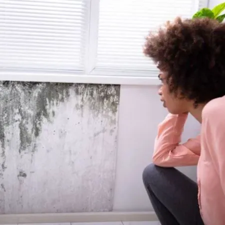 WATER DAMAGE THE BEST SERVICE INC. Picture 5