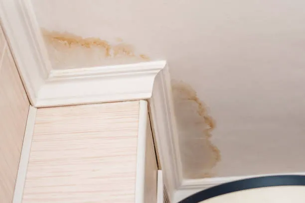 Homestead Water Damage Restoration Experts Picture 9