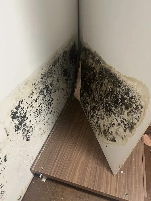 24/7 SERVICE PROS | Restoration Services Picture 3