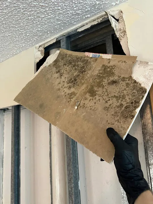 24/7 SERVICE PROS | Restoration Services Picture 10