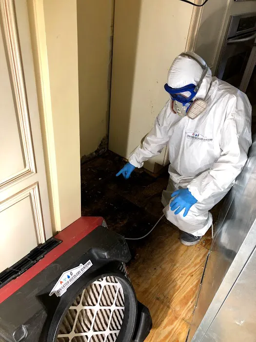 Disaster recovery systems Picture 6