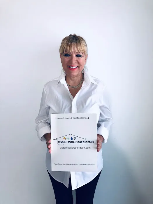 Disaster recovery systems Picture 7