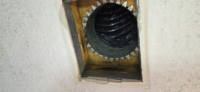 MOLD FREE ME Picture 3