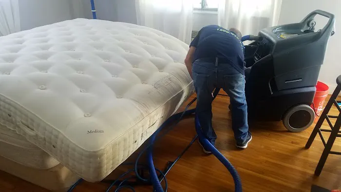 Sheen Restoration and Carpet Cleaning Picture 5