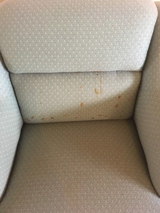 Sheen Restoration and Carpet Cleaning Picture 10