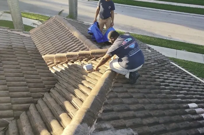 Titan Restoration Inc Picture 6