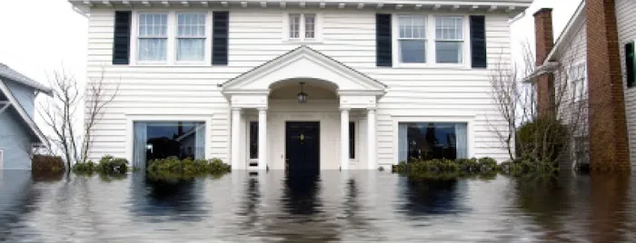 Hollywood Restoration, Inc. Picture 1