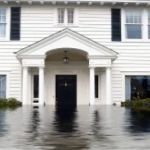 Hollywood Restoration, Inc.