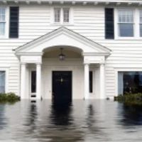 Hollywood Restoration, Inc. ico