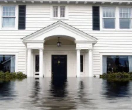 Hollywood Restoration, Inc.