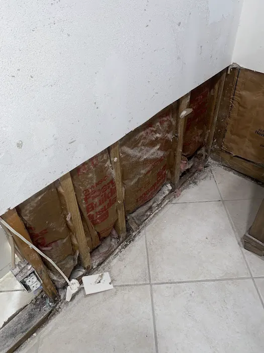 Moldx Pros Picture 2