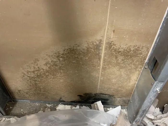 Moldx Pros Picture 4