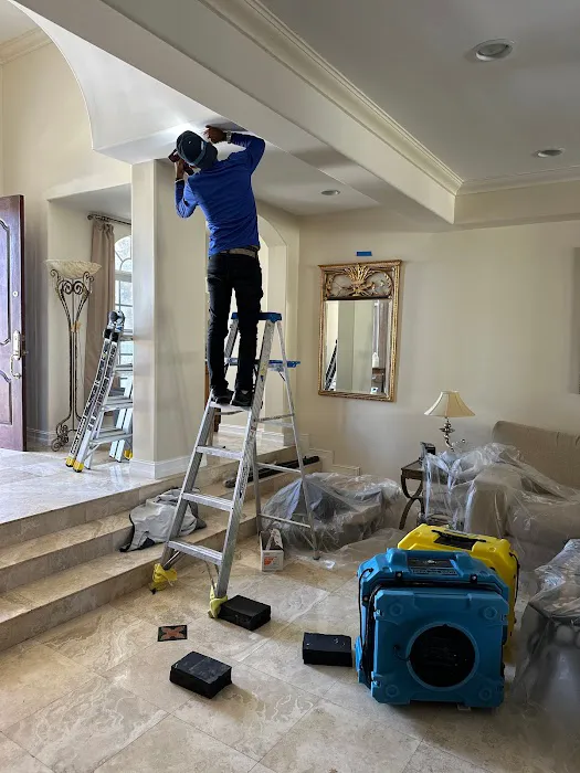 Moldx Pros Picture 5