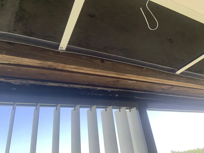 Moldx Pros Picture 9