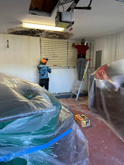 Moldx Pros Picture 8