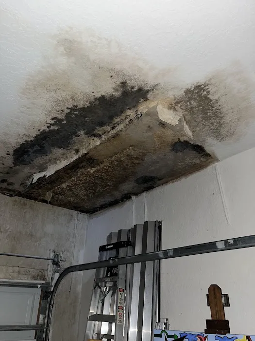 Moldx Pros Picture 7