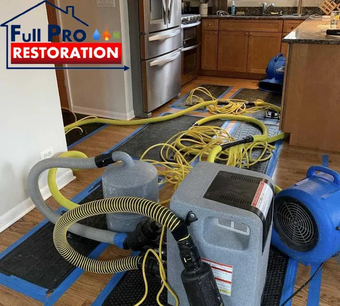 Full Pro Restoration Picture 3