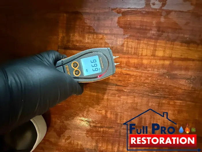 Full Pro Restoration Picture 5