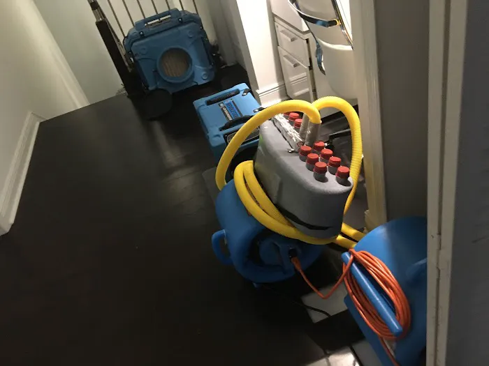 Full Pro Restoration Picture 10