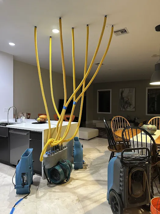 Dry Titan - Water Leak Detection, Water Removal Services, Mold Remediation, Mold Tests, and Restoration Picture 2