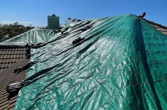 Dry Titan - Water Leak Detection, Water Removal Services, Mold Remediation, Mold Tests, and Restoration Picture 9