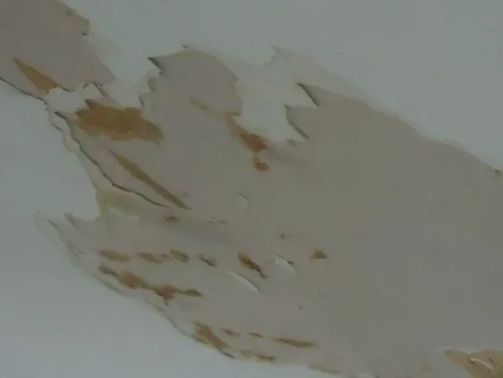 Murakaba Water Damage Remediation Picture 6