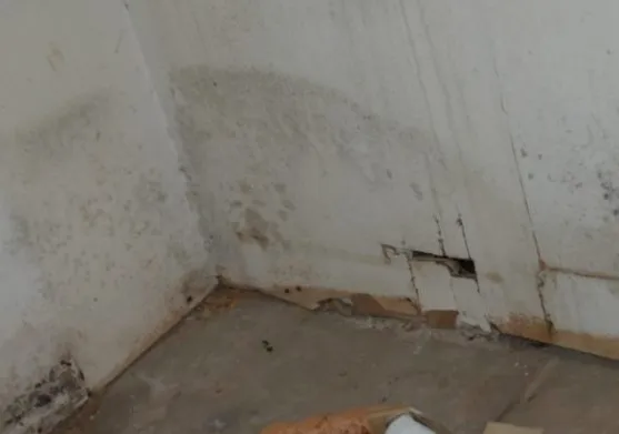 Murakaba Water Damage Remediation Picture 4