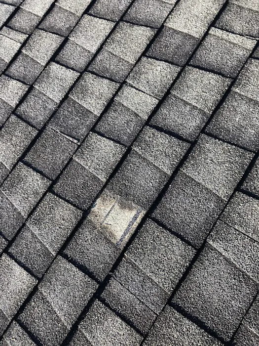 Florida Water Restoration Services, corp Picture 2