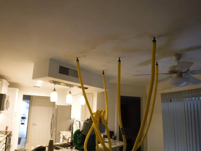 Restoration Doctor Picture 7