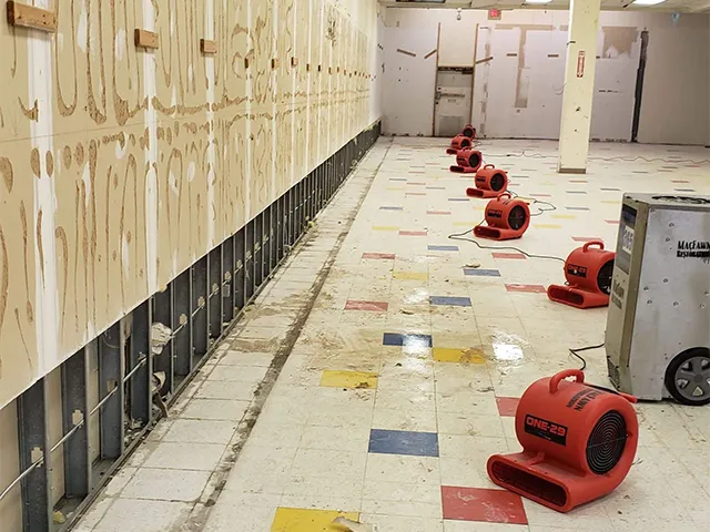 WOW Water Damage Restoration Corp Picture 1