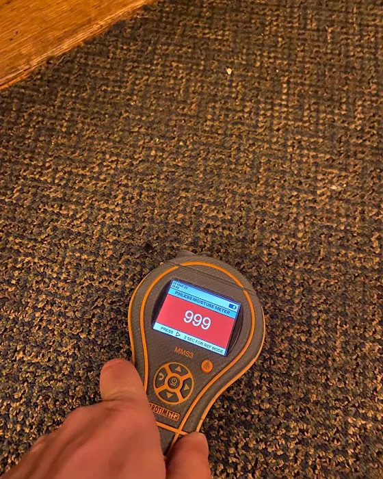 WOW Water Damage Restoration Corp Picture 5