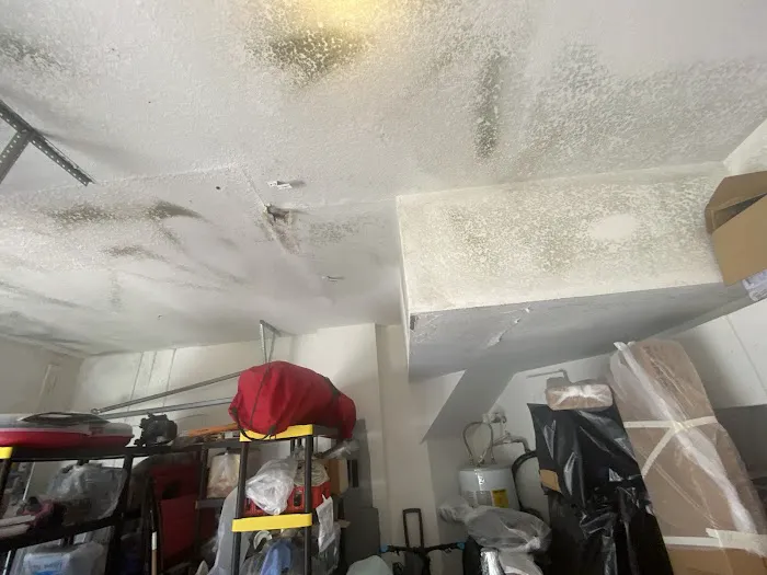 Red's Restoration - Water Damage Repair Services of Hollywood FL Picture 8