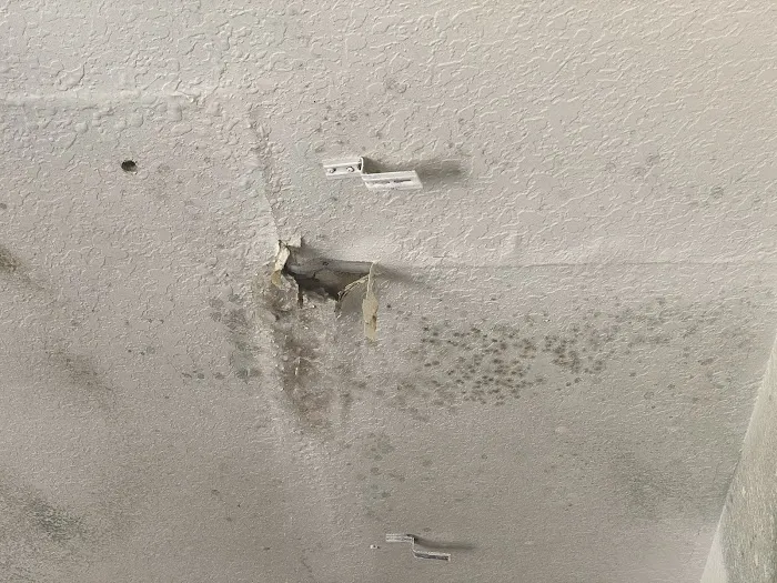 Red's Restoration - Water Damage Repair Services of Hollywood FL Picture 10