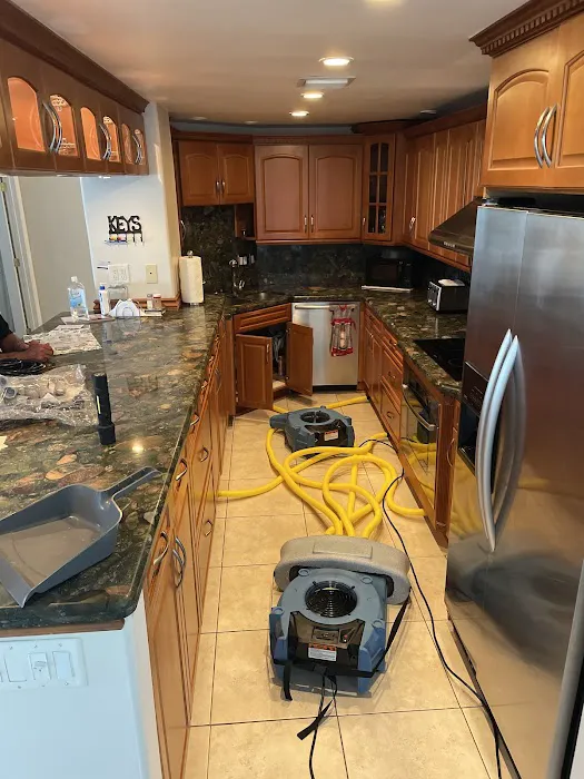 Ediss Mold Remediation Picture 1