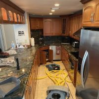 Ediss Mold Remediation ico