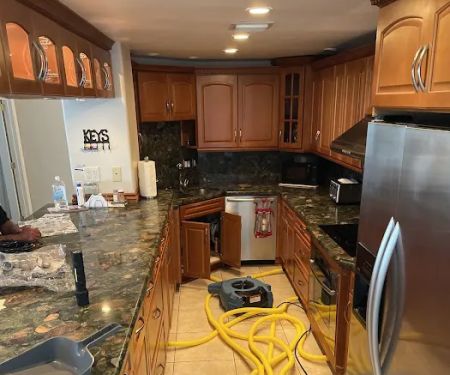 Ediss Mold Remediation