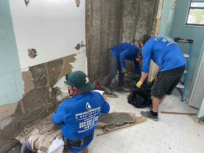 Ediss Mold Remediation Picture 5