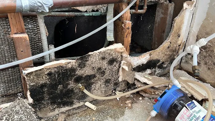 Ediss Mold Remediation Picture 6