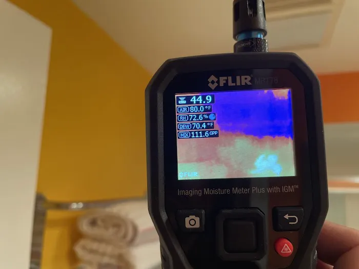 Ediss Mold Remediation Picture 7