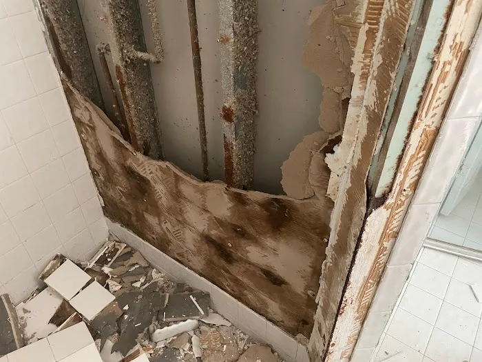 Ediss Mold Remediation Picture 9