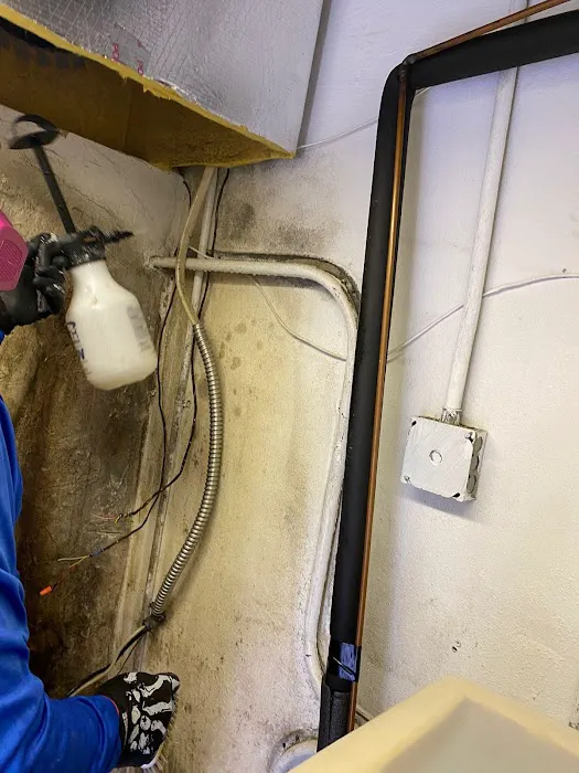 Ediss Mold Remediation Picture 8