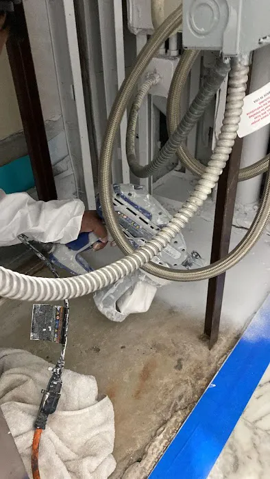 Ediss Mold Remediation Picture 10