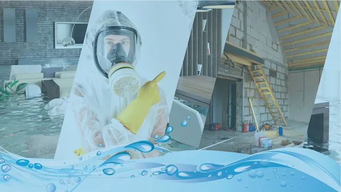 Water Damage and Mold Removal of Broward County Picture 3