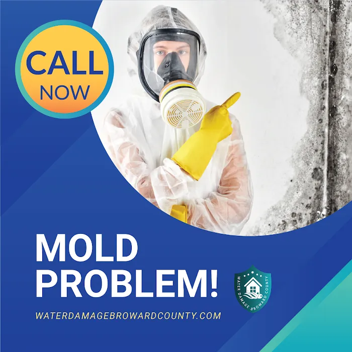 Water Damage and Mold Removal of Broward County Picture 6