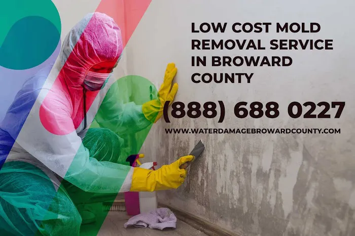 Water Damage and Mold Removal of Broward County Picture 5
