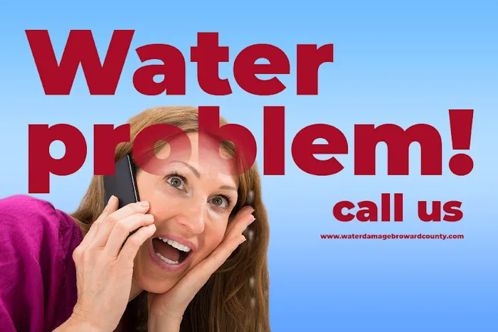 Water Damage and Mold Removal of Broward County Picture 10