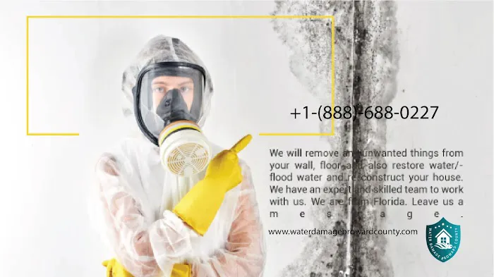 Water Damage and Mold Removal of Broward County Picture 7