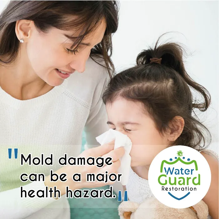 WaterGuard Restauration Picture 5