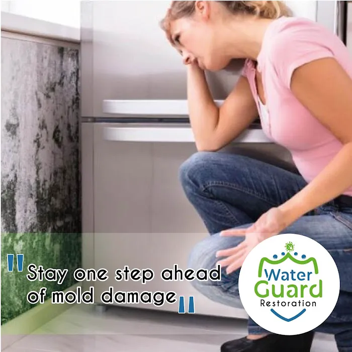 WaterGuard Restauration Picture 6