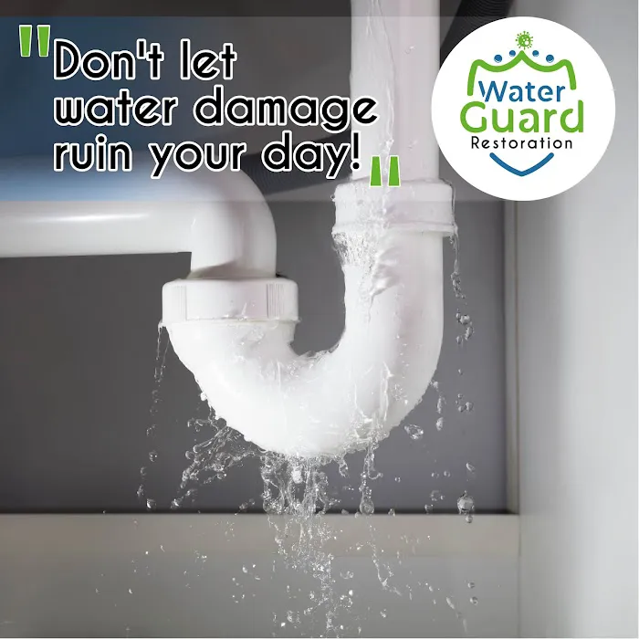 WaterGuard Restauration Picture 8